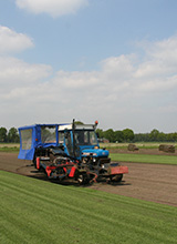 Rasen schälen auf dem Feld